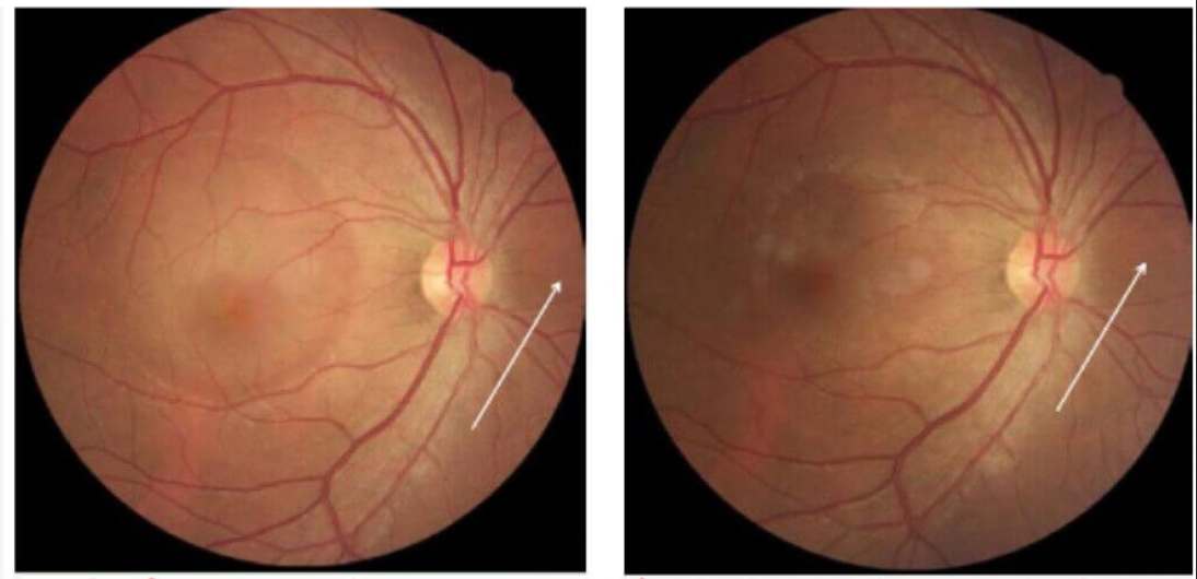 1766111605526052.png 1766111605526052.png