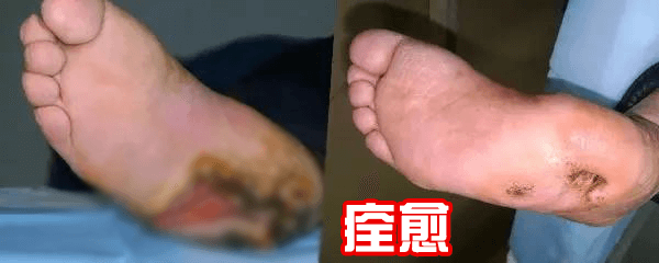 1766112370839307.png 1766112370839307.png